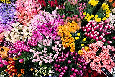 60帧模式来了 《龙之信条2》更新添加画质＆帧率优先设置